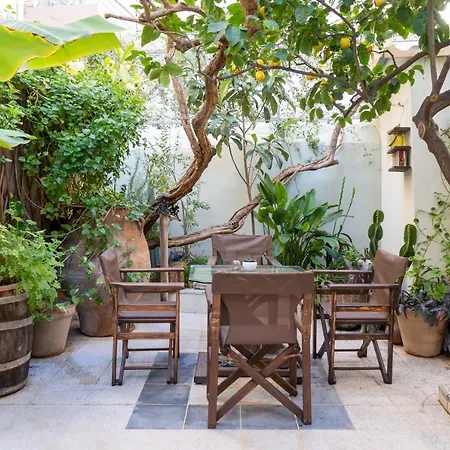 Lemon Garden *