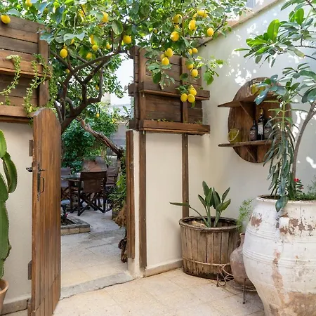 Lemon Garden