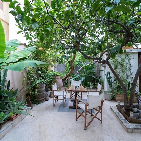 Lemon Garden